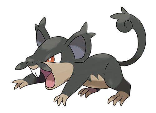 Rattata D'Alola Pokémon Soleil et Lune