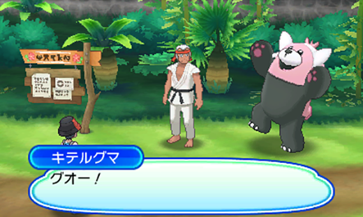 Screenshot Pokémon Ultra-Soleil et Ultra-Lune