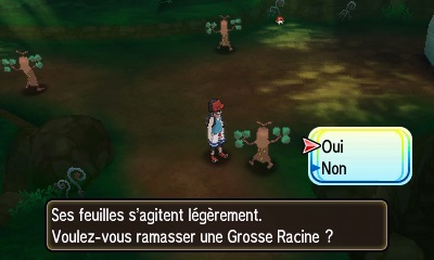 Tour des Îles Pokémon Ultra-Soleil et Ultra-Lune